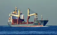 2x Multipurpose / Container Vessel For Sale - Single or En Bloc