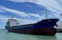 300 TEU MPP Container Ship