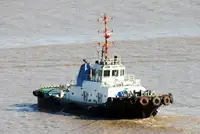 FOR SALE: 50 t BP ASD Tug 2010 China Built – IRS Class to 2027 | CM1215