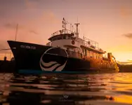 1973 Carrington Slipways Southern Star