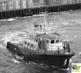 15m / 12 pax Crew Transfer Vessel for Sale / #1000350